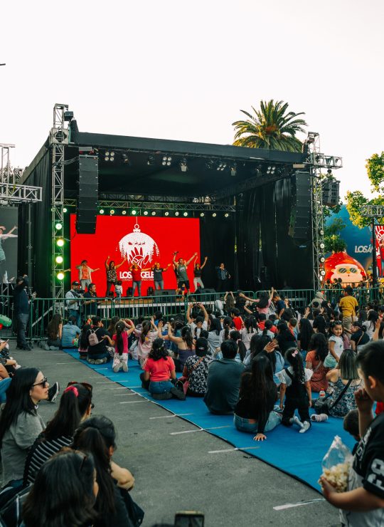 PHOTO-2025-01-08-21-49-28